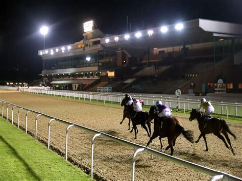 Wolverhampton Tips .